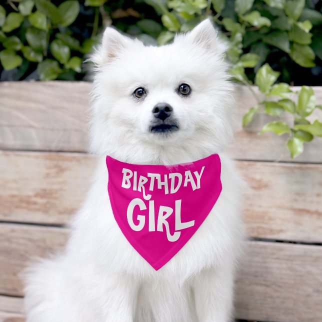 Birthday Girl Pet Bandana Collar (Dog)
