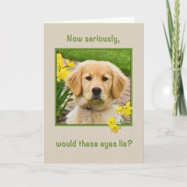 Birthday, Golden Retriever Dog, Daffodils Card (Front)