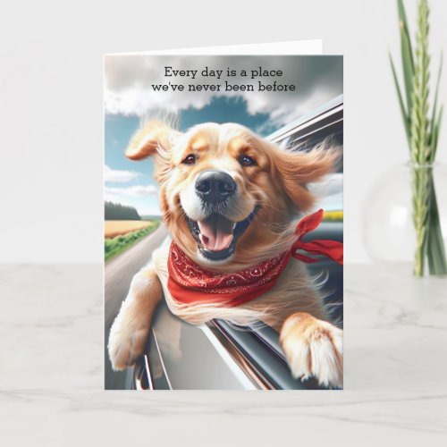 Birthday Golden Retriever in Car Window Card