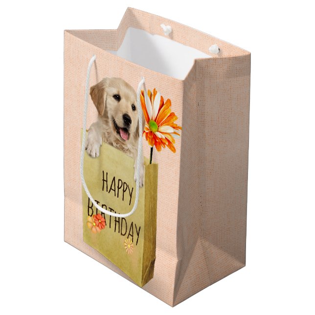 Birthday Golden Retriever in Paper Bag  (Front Angled)