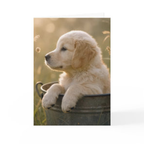 Birthday Golden Retriever Puppy in a Bucket Card