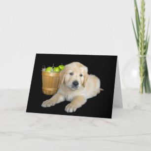 Birthday Golden Retriever with Apples Card