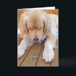 Birthday golden retriever with frog card<br><div class="desc">golden retriever with green frog on wood</div>