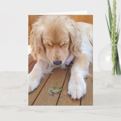 Birthday golden retriever with frog card