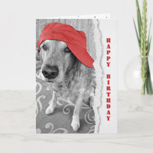 Birthday Golden Retriever with Red Cap Card