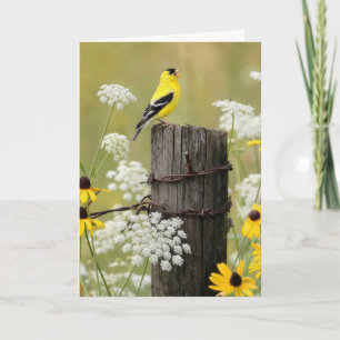 Birthday Goldfinch Singing on a Fence Post Card