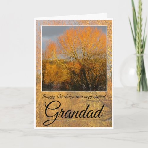 Birthday Grandad  Sunkissed Winter Trees  Card