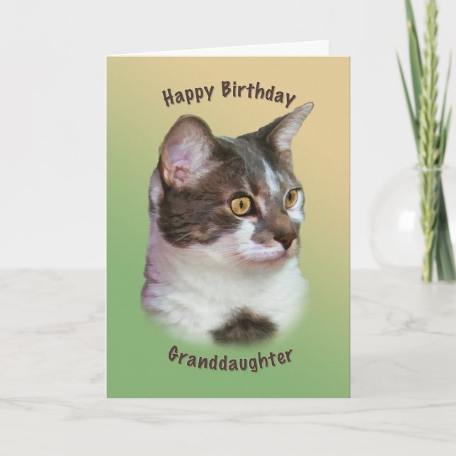 Birthday, Granddaughter, Golden-eyed Cat, Card (Front)