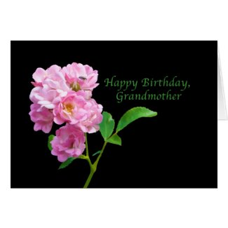 Birthday, Grandmother, Pink Garden Roses on Black Greeting Card