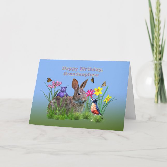 Birthday, Grandnephew, Bunny, Butterflies, Robin Card (Front)