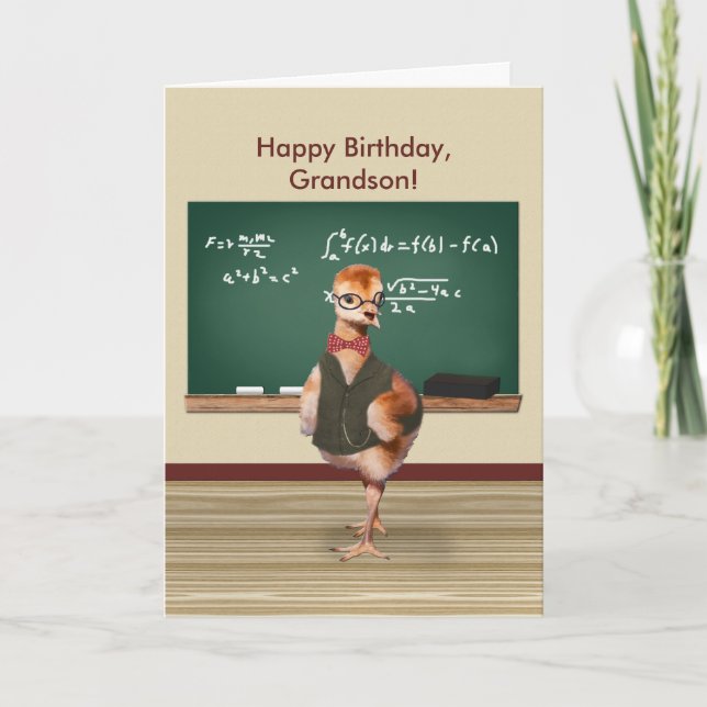 Birthday, Grandson, Baby Bird, Customizable Card (Front)