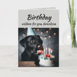 Birthday Grandson Fun Wisdom Lab Dog Card<br><div class="desc">Birthday wisdom for your Grandson from the cute Labrador Retriever Dog Pet Animal licking the cake.   Fun animal Birthday cards</div>