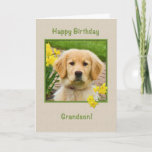 Birthday, Grandson, Golden Retriever Dog Card<br><div class="desc">Nothing says "love" more than the big brown eyes of a Golden Retriever pup.  Add a yellow daffodils and have a way to wish someone happy birthday.  Feel free to change the inside verses to suit your needs.</div>