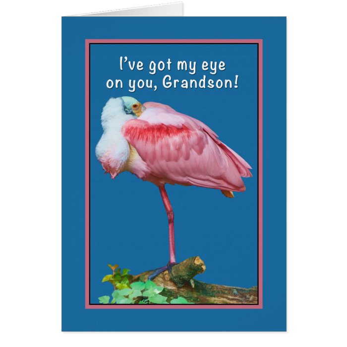 Birthday, Grandson, Peekaboo Spoonbill Card