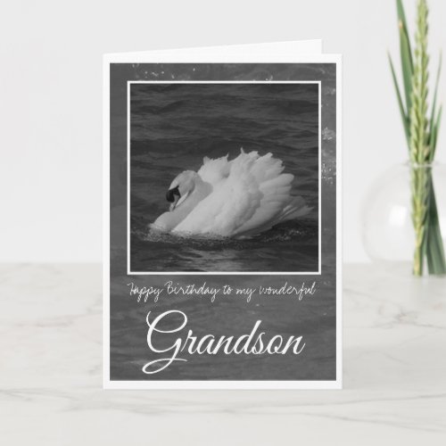 Birthday Grandson Swan Gracefully Gliding Card