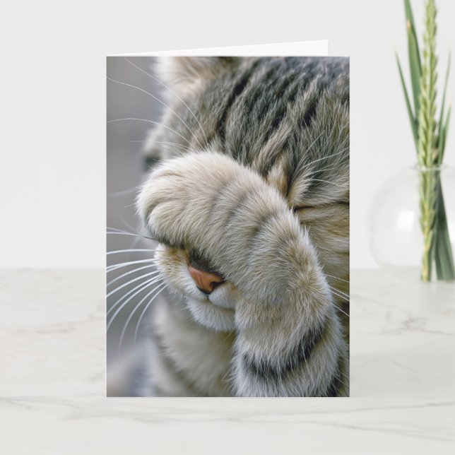 Birthday Gray Tabby Cat Getting Old Humor Card (Front)