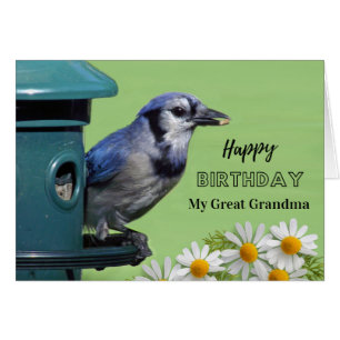 Birthday Great Grandma Blue Jay at Bird Feeder Cards