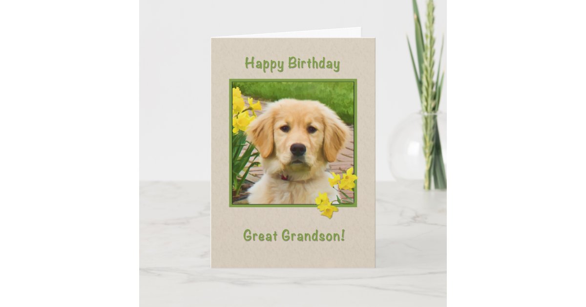 Birthday, Great Grandson, Golden Retriever Dog Card | Zazzle.com