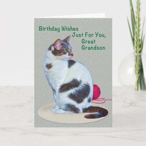 Birthday Great Grandson Green_Eyed Cat Card