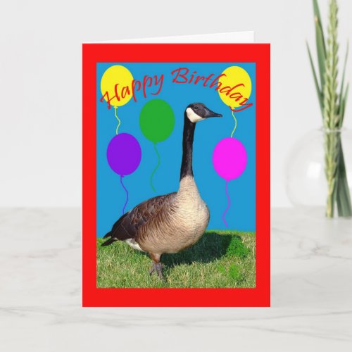 Birthday Greeting Card