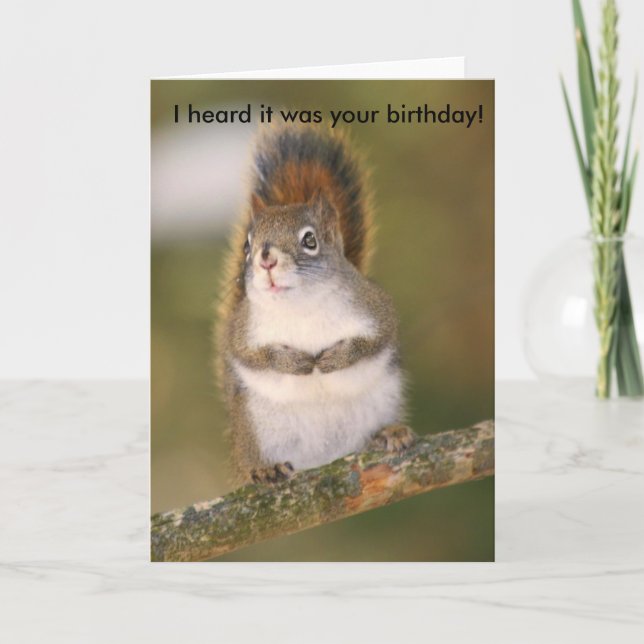 Birthday Greeting Card - Squirrel (Front)