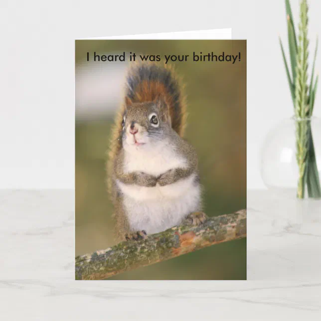 Birthday Greeting Card - Squirrel | Zazzle