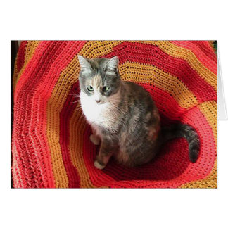 Birthday Greeting Cat on Afghan Cover Card