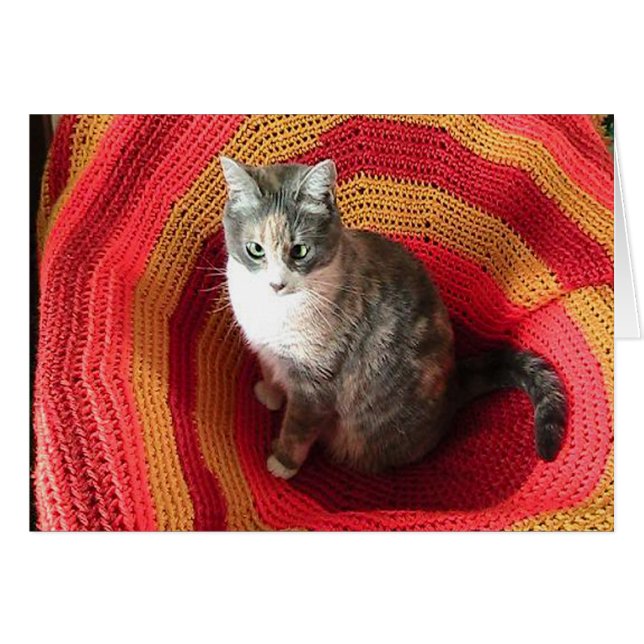 Birthday Greeting Cat on Afghan Cover Card (Front Horizontal)