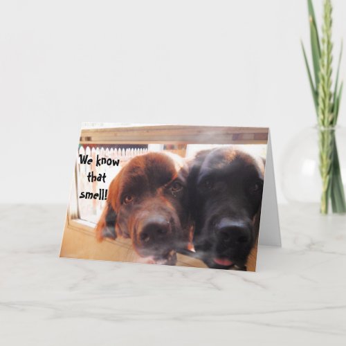 Birthday Greeting  Dog humor Card