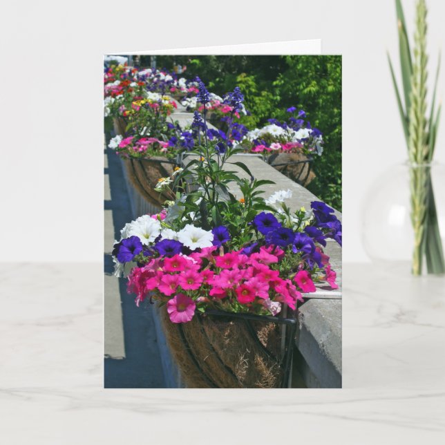 Birthday Greetings, Flowers in Leland Michigan Card (Front)