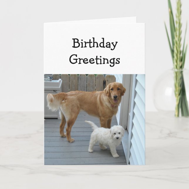Birthday Greetings from Both of Us Pet Dog Humor Card (Front)