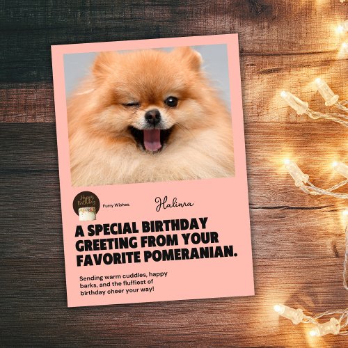 Birthday Greetings From Your Favorite Pomeranian Card
