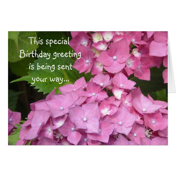 Birthday Greetings Pink Hydrangeas Greeting Card