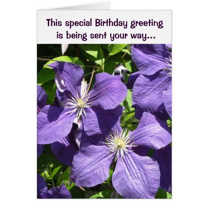 Birthday Greetings Purple Clematis Greeting Cards