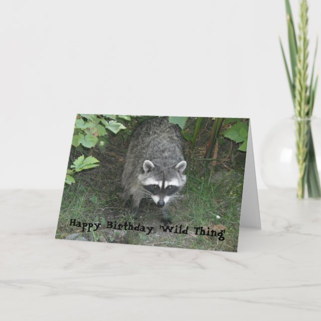 Birthday Greetings - Raccoon Card (Front)