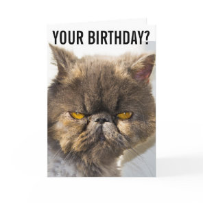 BIRTHDAY GRUMPY PERSIAN CAT FUNNY Greeting Card