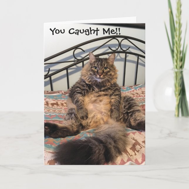 Birthday Hairball Kimber Cat Birthday Card (Front)