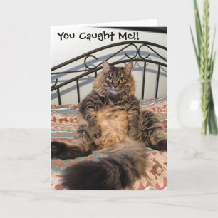 Birthday Hairball Kimber Cat Birthday Card