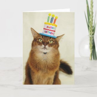 Birthday Hat Somali Cat Holiday Card