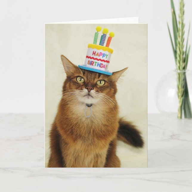 Birthday Hat Somali Cat Holiday Card (Front)
