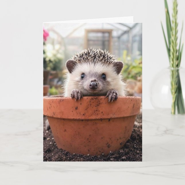Birthday Hedgehog in a Clay Flower Pot Card (Front)