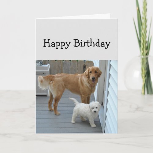 Birthday Help to Eat Cake Cute Dog Humor Card