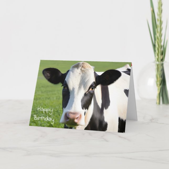 Birthday Holstein Cow Humor Card (Front)