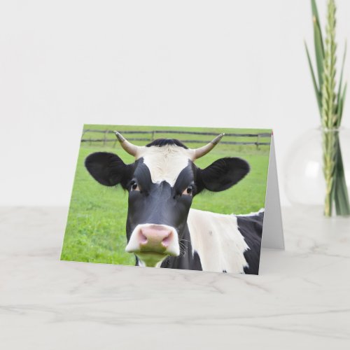 Birthday Holstein Cow In Pasture Card