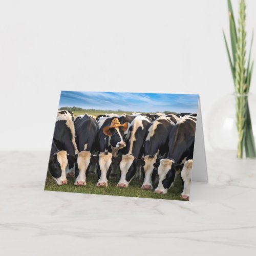 Birthday Holstein Cows Grazing Card