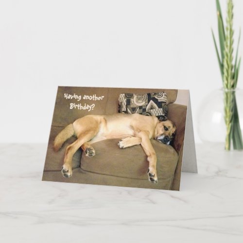 Birthday Hound Dog Card