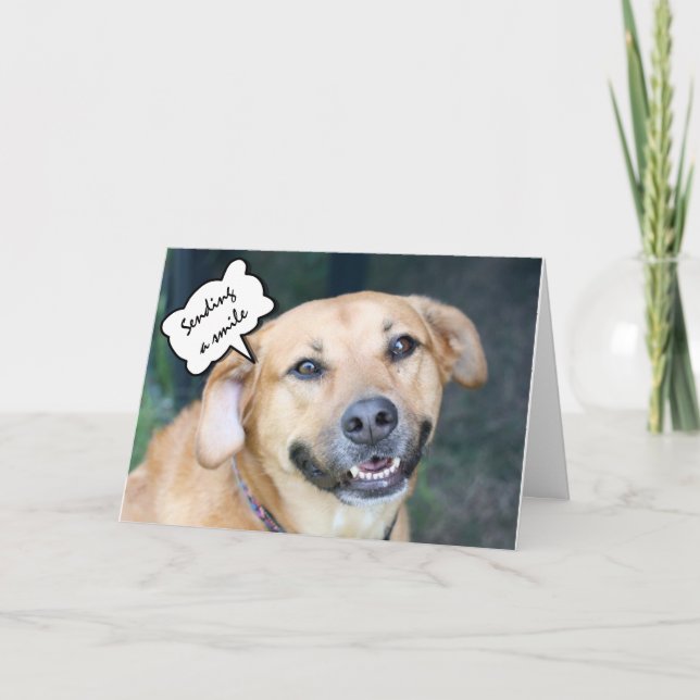 Birthday Hugs, Kisses & Smiles Cute Smiling Dog Card (Front)