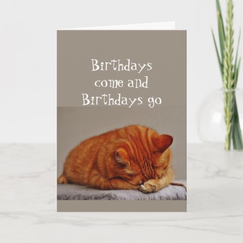 Birthday Humor 40th Over the Hill Disgusted Cat Card