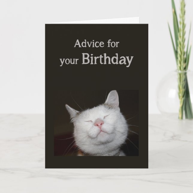 Birthday Humor Cute Cat Inspirational Humor Advice Card (Front)