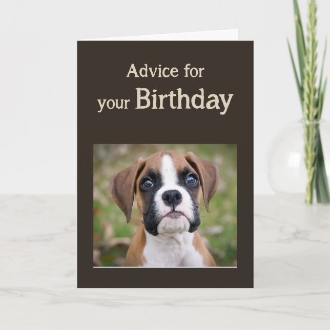 Birthday Humor Cute Dog Inspirational Humor Advice Card (Front)